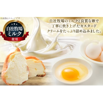 シュークリーム 冷凍 8個 [岩瀬牧場 北海道 砂川市 12260955]