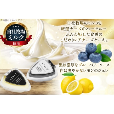 レアチーズケーキ mowmo 2種 4個 セット レモン ブルーベリー [12260956] 