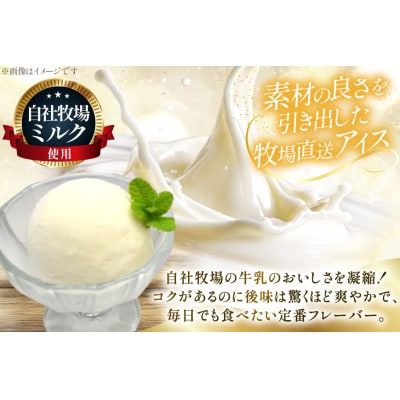 テレビで紹介! アイス ジェラート ミルク 2L ファミリーサイズ [12260961] 