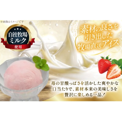 テレビで紹介! アイス ジェラート ストロベリー 2L ファミリーサイズ [12260964]