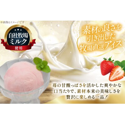 テレビで紹介! アイス ジェラート ストロベリー 2L ファミリーサイズ [12260964]