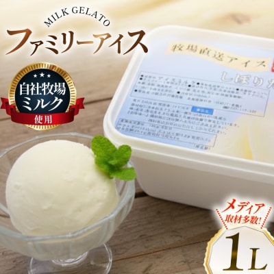 テレビで紹介! アイス ジェラート ミルク 1L ファミリーサイズ [12260967] 