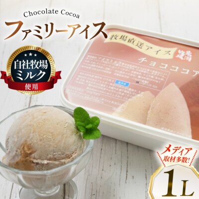 テレビで紹介! アイス ジェラート チョコココア 1L ファミリーサイズ [12260966]