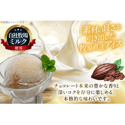 テレビで紹介! アイス ジェラート チョコココア 1L ファミリーサイズ [12260966]