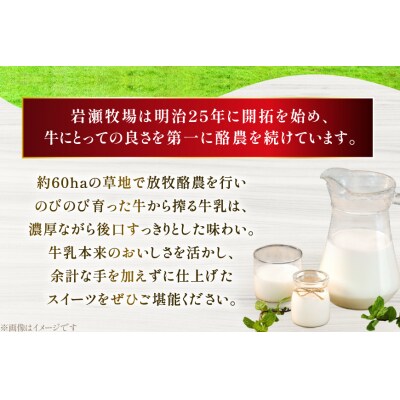 テレビで紹介! アイス ジェラート チョコココア 1L ファミリーサイズ [12260966]