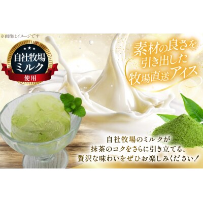 テレビで紹介! アイス ジェラート 抹茶 1L ファミリーサイズ [12260965]