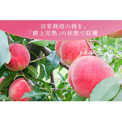 桃 冷凍 コンポート 2種 500g × 3パック [12261007]