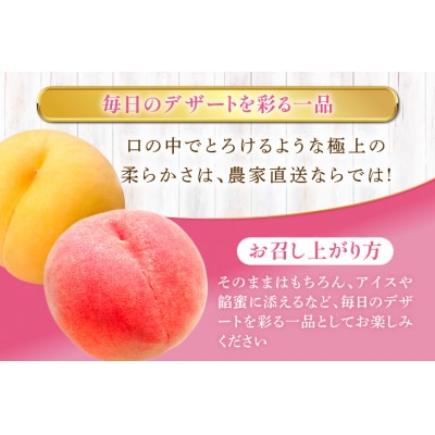桃 冷凍 コンポート 2種 500g × 3パック [12261007]