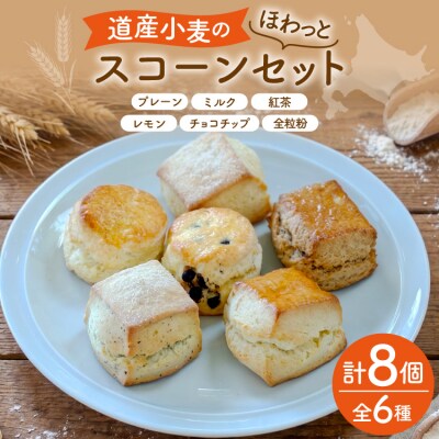 菓子 道産小麦のほわっとmederu スコーン 6種 セット 冷凍 [12261123]