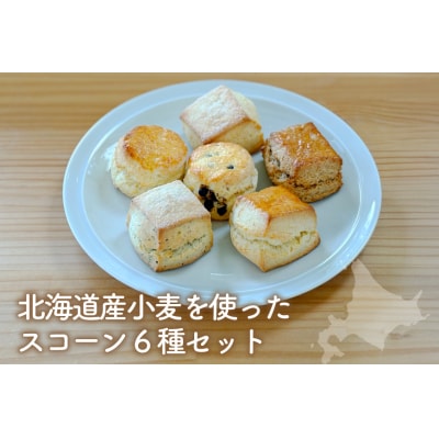 菓子 道産小麦のほわっとmederu スコーン 6種 セット 冷凍 [12261123]
