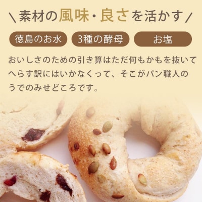 天然酵母ベーグルおすすめセット　10個【ER005】