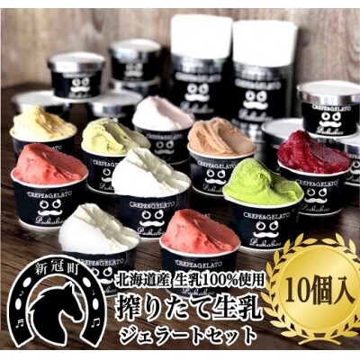 新冠生乳 旬の味覚プレミアムジェラートセットC (10個入り)