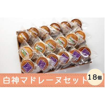 白神マドレーヌ詰め合わせ18個(3種×各6個)