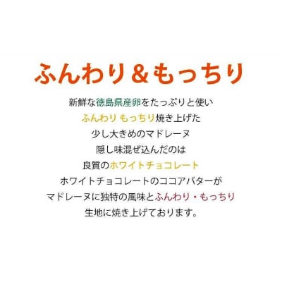 大きなマドレーヌ　12個【FY001】