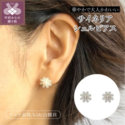 K18　白蝶貝　サイネリアシェルピアス　K18EP0515W