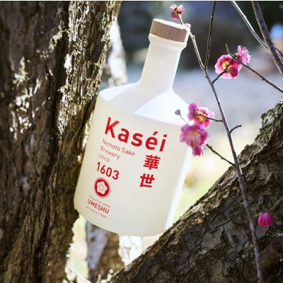 「華世 -Kasei- 」梅リキュール