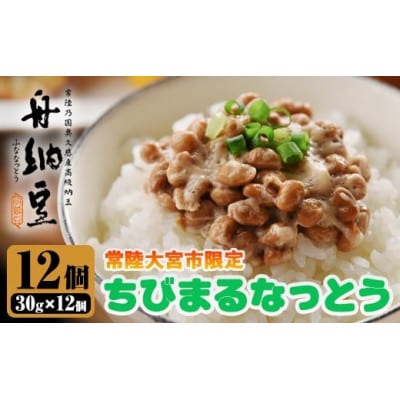 常陸大宮限定!舟納豆　ちびまる納豆12パック