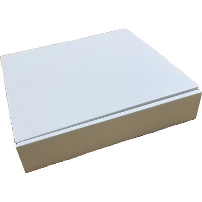 生パスタ スパゲッティーニ(麺のみ)10人前