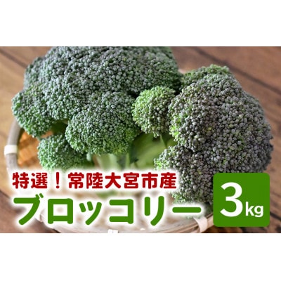 小野瀬農園の特選ブロッコリー 3kg