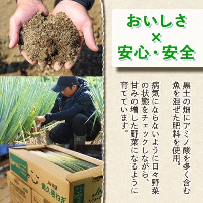 小野瀬農園の特選ブロッコリー 3kg