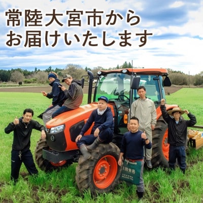 小野瀬農園の特選ブロッコリー 3kg