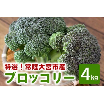 小野瀬農園の特選ブロッコリー 4kg