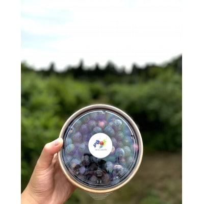 完熟、濃厚生ブルーベリー　1kg