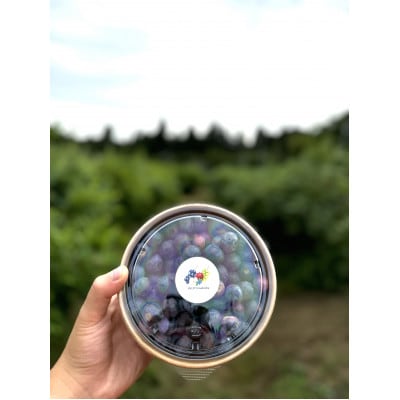 完熟、濃厚生ブルーベリー　200g