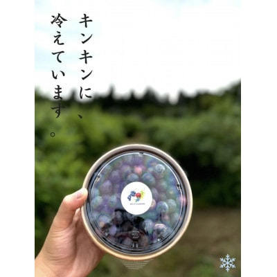 冷凍ブルーベリー500g