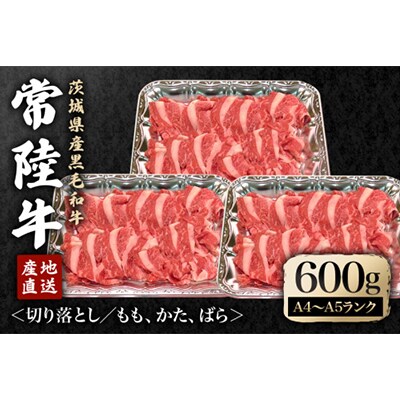 瑞穂農場で育てた常陸牛切り落としセット　約600g(常陸大宮市)