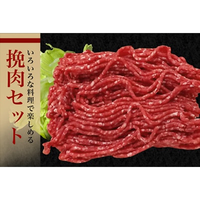 瑞穂牛ひき肉セット　約1kg(常陸大宮市)