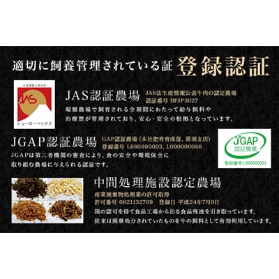 瑞穂農場で育てた常陸牛焼肉セット　約800g(常陸大宮市)