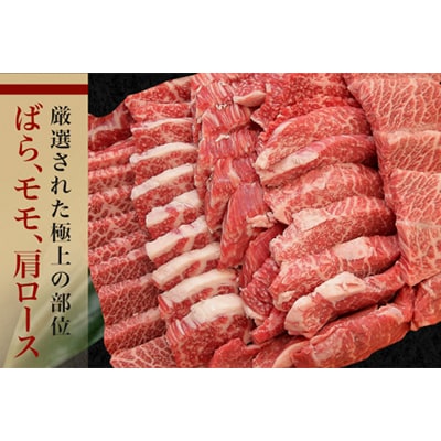 瑞穂農場で育てた常陸牛焼肉セット　約800g(常陸大宮市)