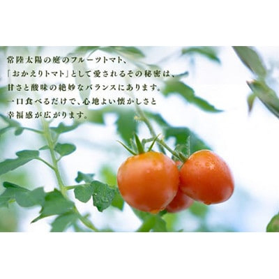 フルーツトマト　200g