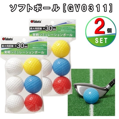 タバタ　ソフトボール(トレーニングボール)6球入り　GV0311×2個セット