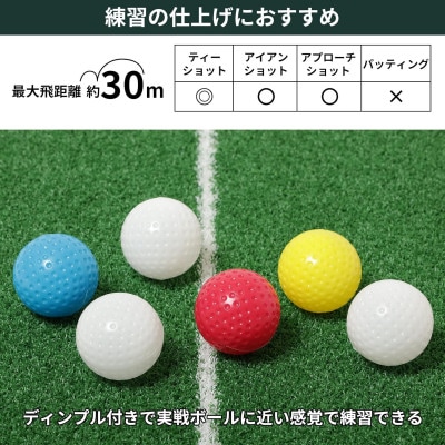 タバタ　ソフトボール(トレーニングボール)6球入り　GV0311×2個セット