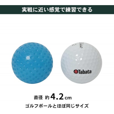 タバタ　ソフトボール(トレーニングボール)6球入り　GV0311×2個セット