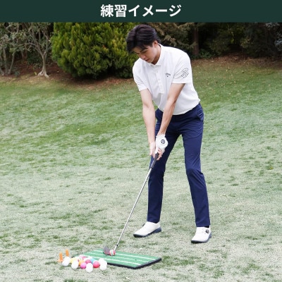 タバタ　ソフトボール(トレーニングボール)6球入り　GV0311×2個セット