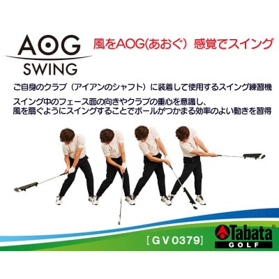 タバタ　AOG SWING(アオグスイング)　GV0379　スイング練習器具　原田修平プロ監修　