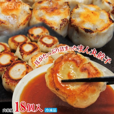【ふるさと納税】まん丸生餃子冷凍　約30g×18個入り(1パック 6個入り×3パック)