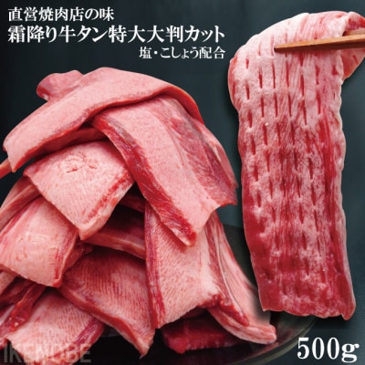 【ふるさと納税】牛タン大判カット 500g(250g×2パック)