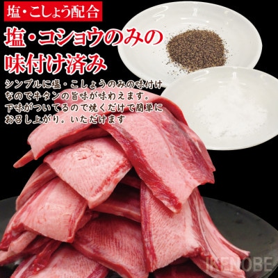 【ふるさと納税】牛タン大判カット 500g(250g×2パック)