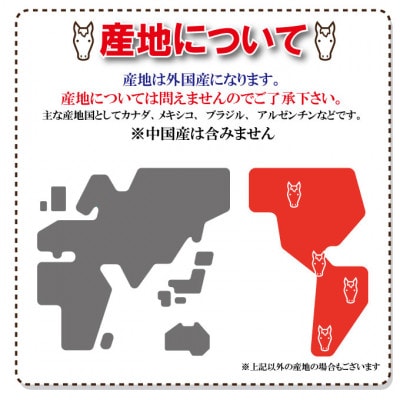 【ふるさと納税】馬肉モモ肉粗挽ミンチ肉 500g×2パック