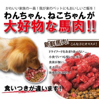 【ふるさと納税】馬肉モモ肉粗挽ミンチ肉 500g×6パック