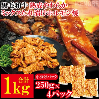 【ふるさと納税】黒毛和牛熟成やわらかミックスたれ漬けホルモン焼 直営焼肉店の味1kg