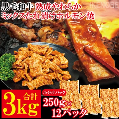 【ふるさと納税】黒毛和牛熟成やわらかミックスたれ漬けホルモン焼 直営焼肉店の味3kg