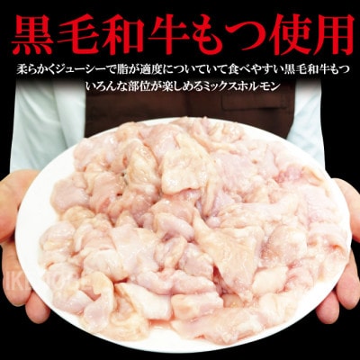 【ふるさと納税】黒毛和牛熟成やわらかミックスたれ漬けホルモン焼 直営焼肉店の味3kg