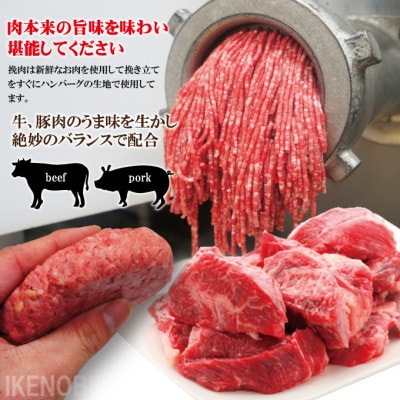 【ふるさと納税】チーズin生ハンバーグ 約130g×10個 国産牛豚使用(冷凍)
