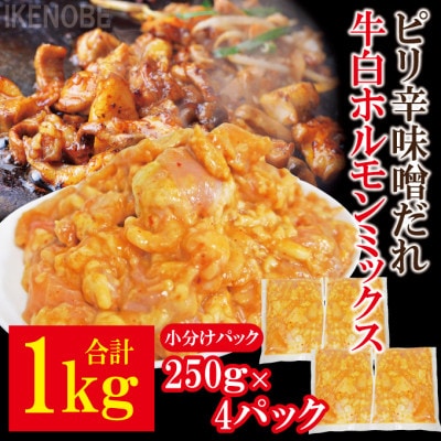 【ふるさと納税】牛白ホルモンミックスピリ辛味噌だれ1kg冷凍