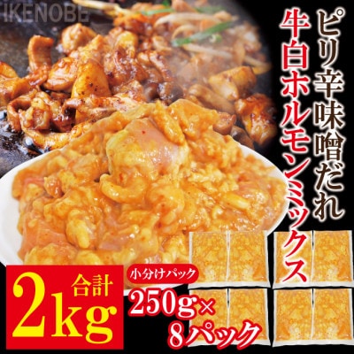 【ふるさと納税】牛白ホルモンミックスピリ辛味噌だれ2kg冷凍